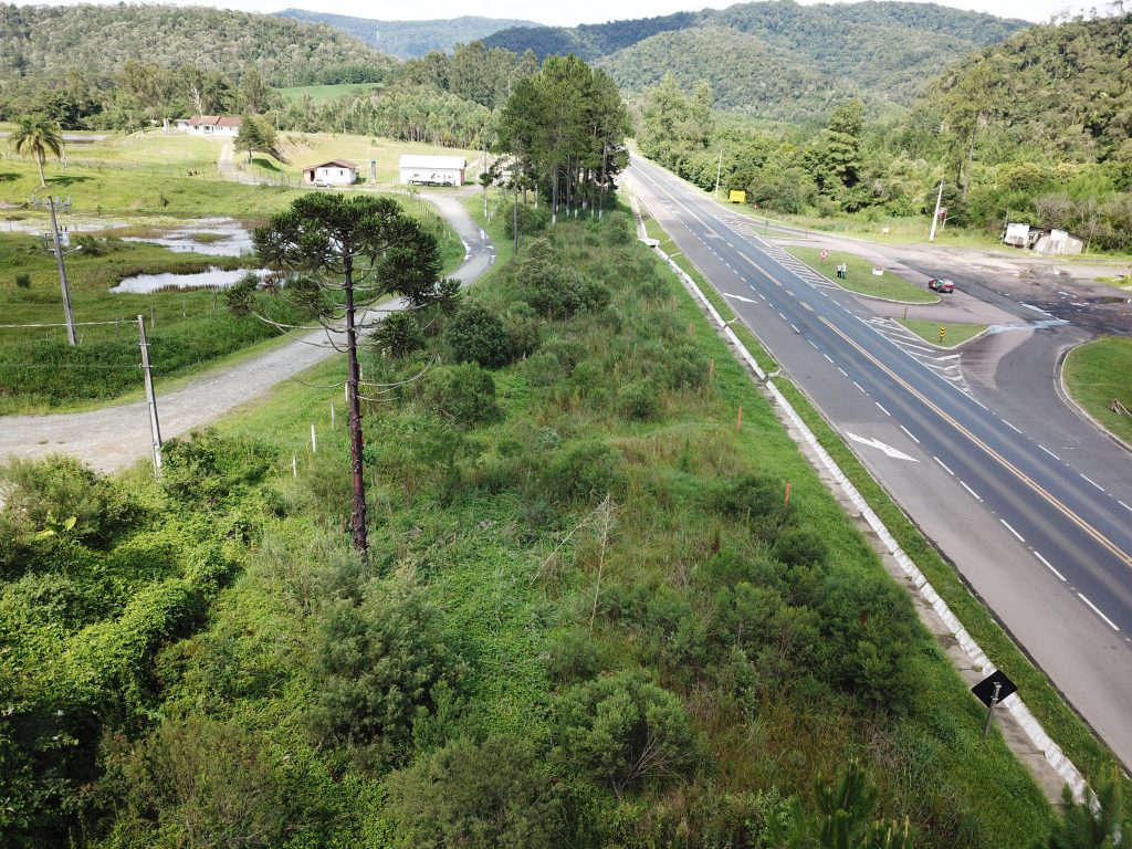 Corredor Ecológico