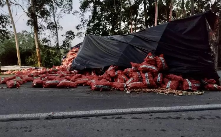 Carreta Cebola