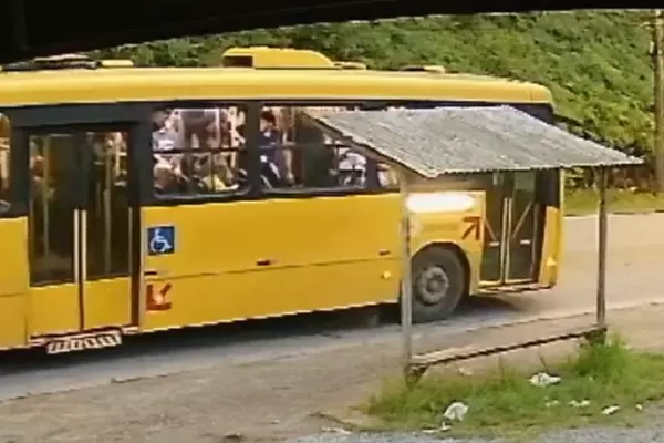 bus impor