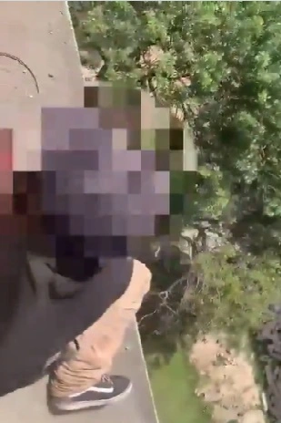 Ponte Pedro Ivo Campos