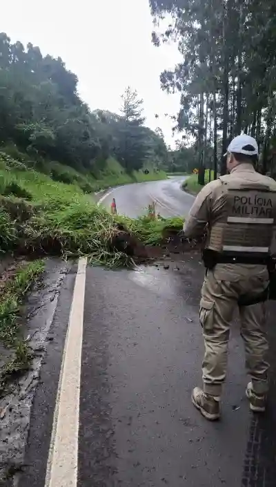 SC-355 Deslizamento de massa de terra com vegetação