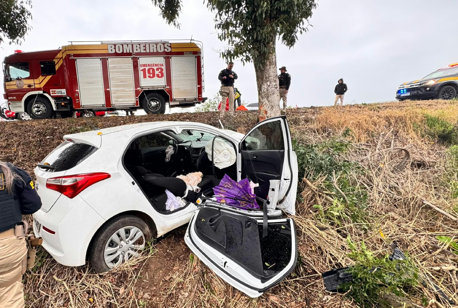 COLISÃO DE VEÍCULO EM ÁRVORE NA BR-470